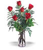 Thailand Roses